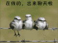 在线的，出来聊天啦
